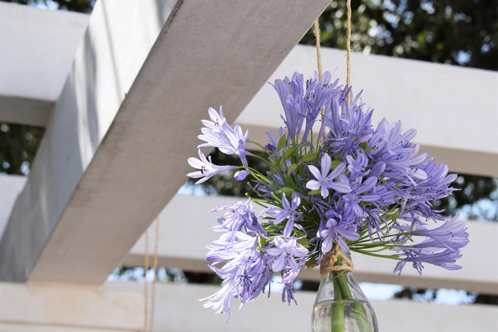 בית הארחה Valverde  	Patio Do Judeu מראה חיצוני תמונה